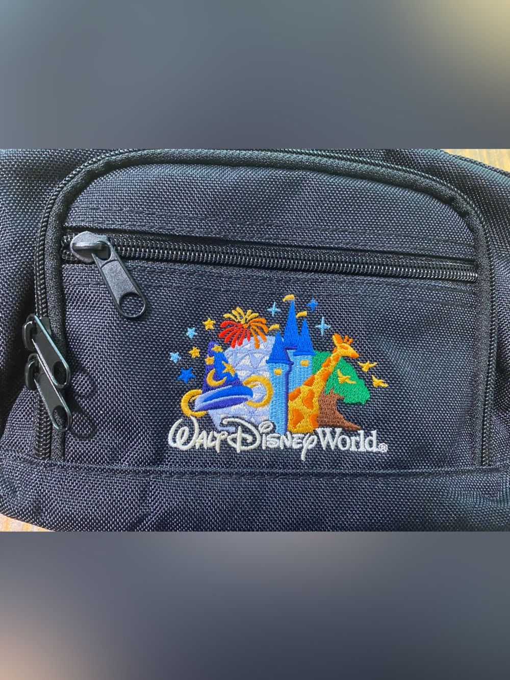 Disney Black Fanny Pack with Colorful Park Embroidery Vintage 2000s